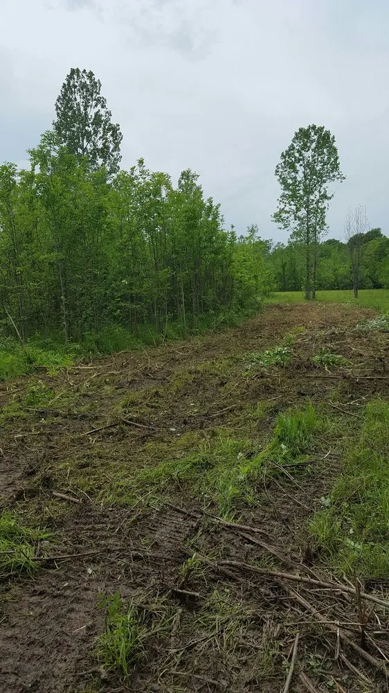 Local landscaping services near you across West Point, MS - Silver Leaf Construction