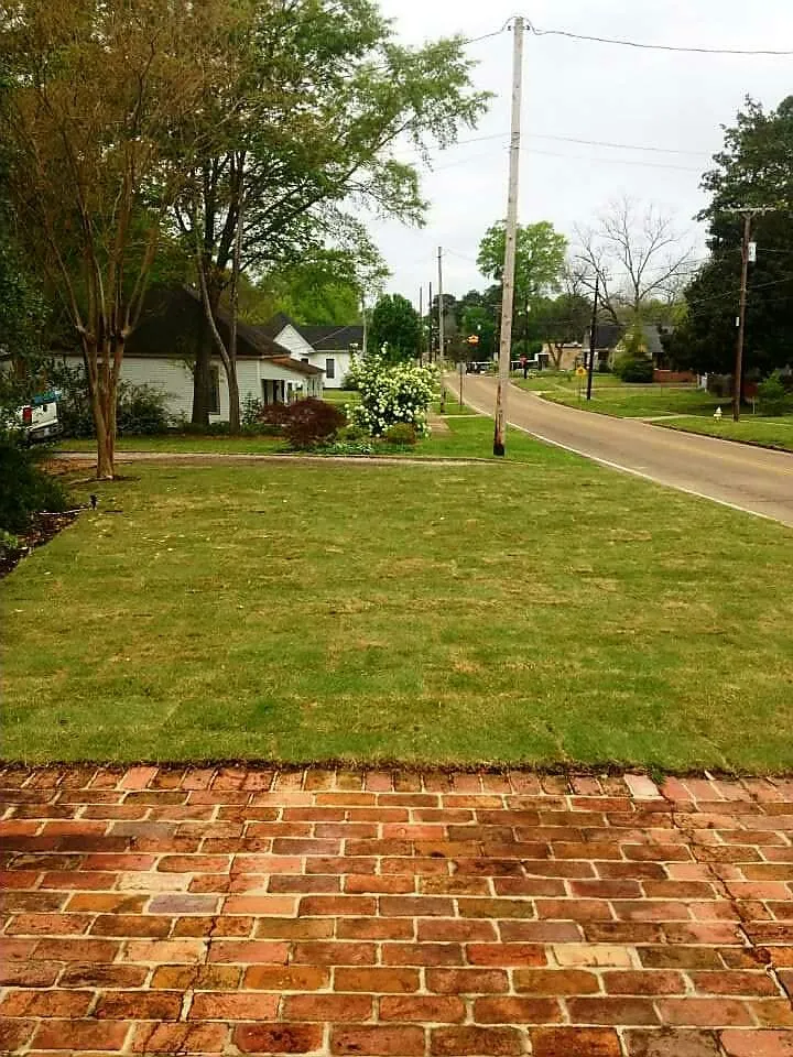 Trusted lawn mowing service in West Point, MS - Silver Leaf Construction