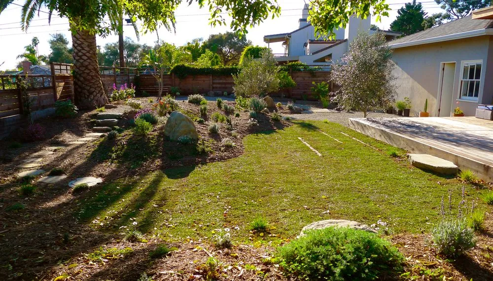 Local yard cleanup service in Santa Barbara, CA - Silver Leaf Landscapes