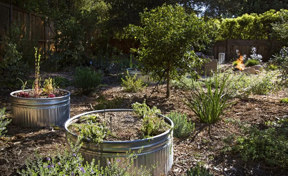 Affordable lawn mowing service in Santa Barbara, CA - Silver Leaf Landscapes