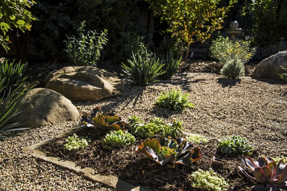 Local outdoor landscaping in Santa Barbara, CA by Silver Leaf Landscapes