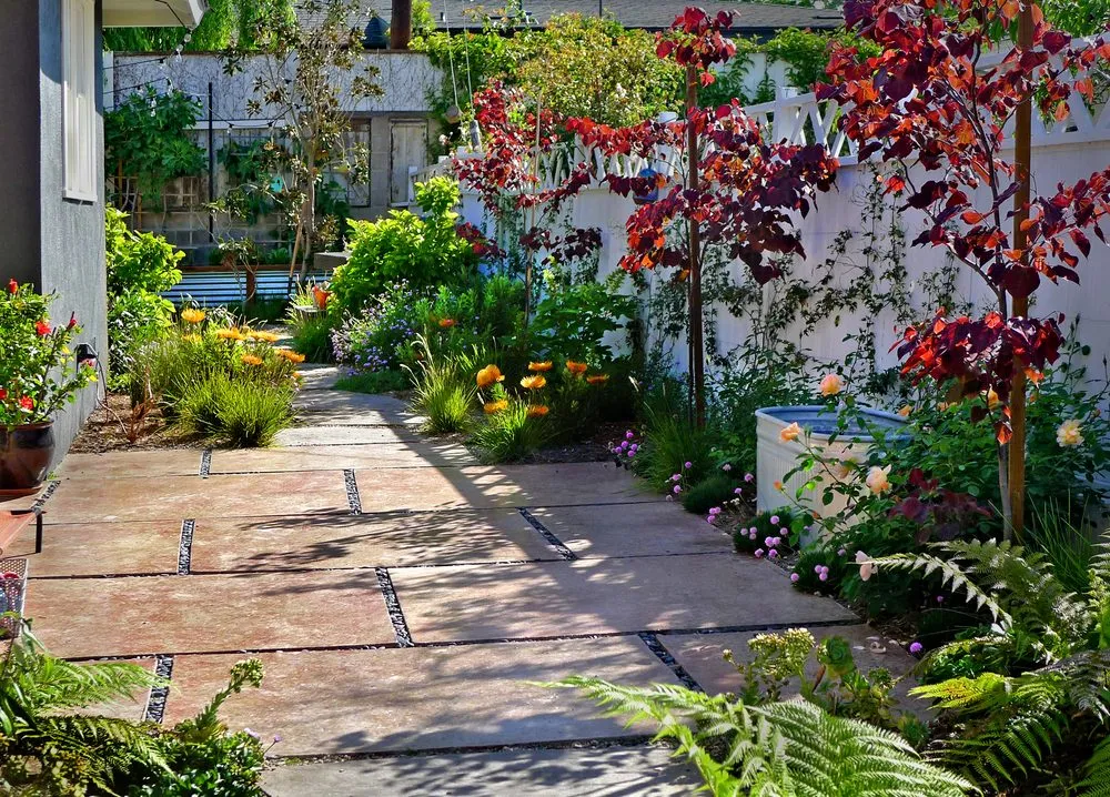Local yard maintenance experts serving Santa Barbara, CA - Silver Leaf Landscapes