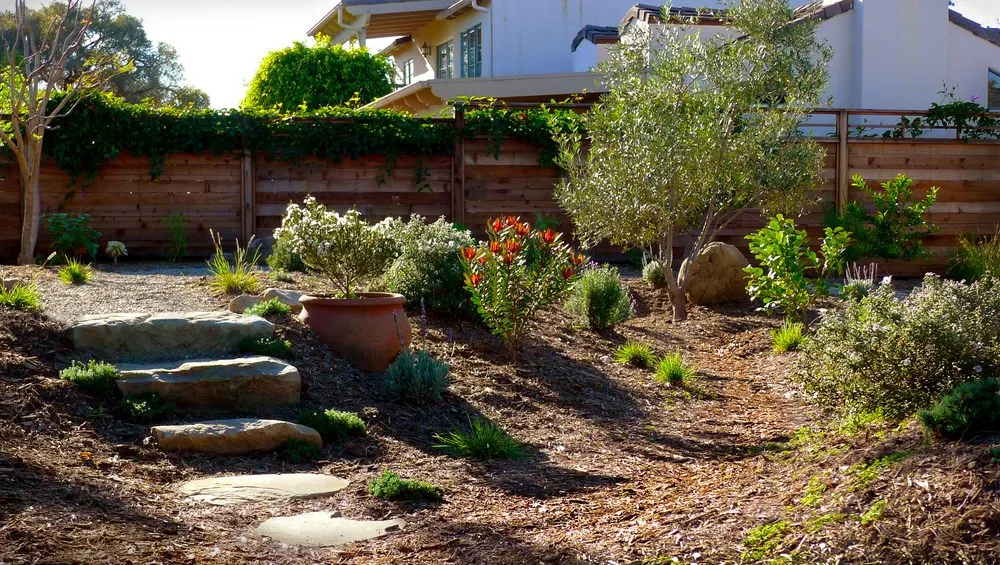 Professional landscape design for homes in Santa Barbara, CA by Silver Leaf Landscapes