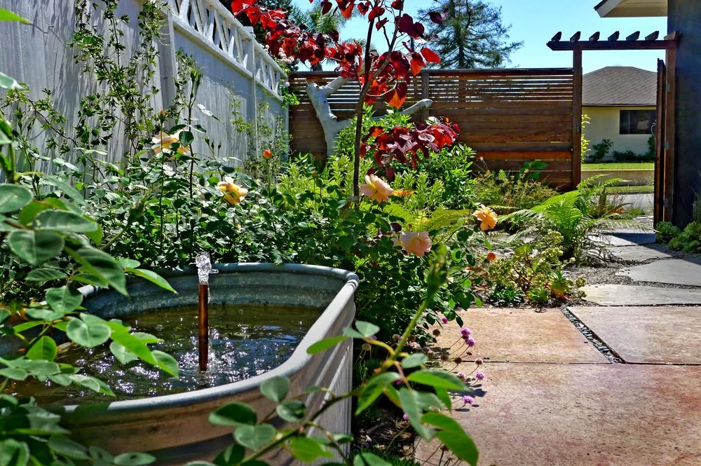 Trusted outdoor landscaping experts serving Santa Barbara, CA - Silver Leaf Landscapes