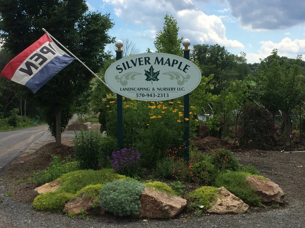 Reliable yard maintenance experts serving Orwigsburg, PA - Silver Maple Nursery