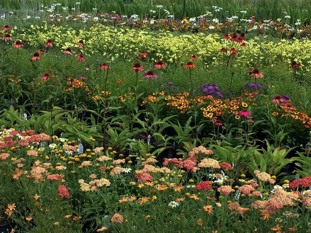 Professional residential landscaping with custom design in Orwigsburg, PA by Silver Maple Nursery