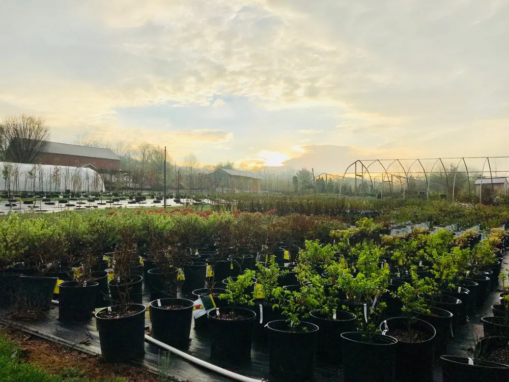 Professional landscaping services in Orwigsburg, PA - Silver Maple Nursery