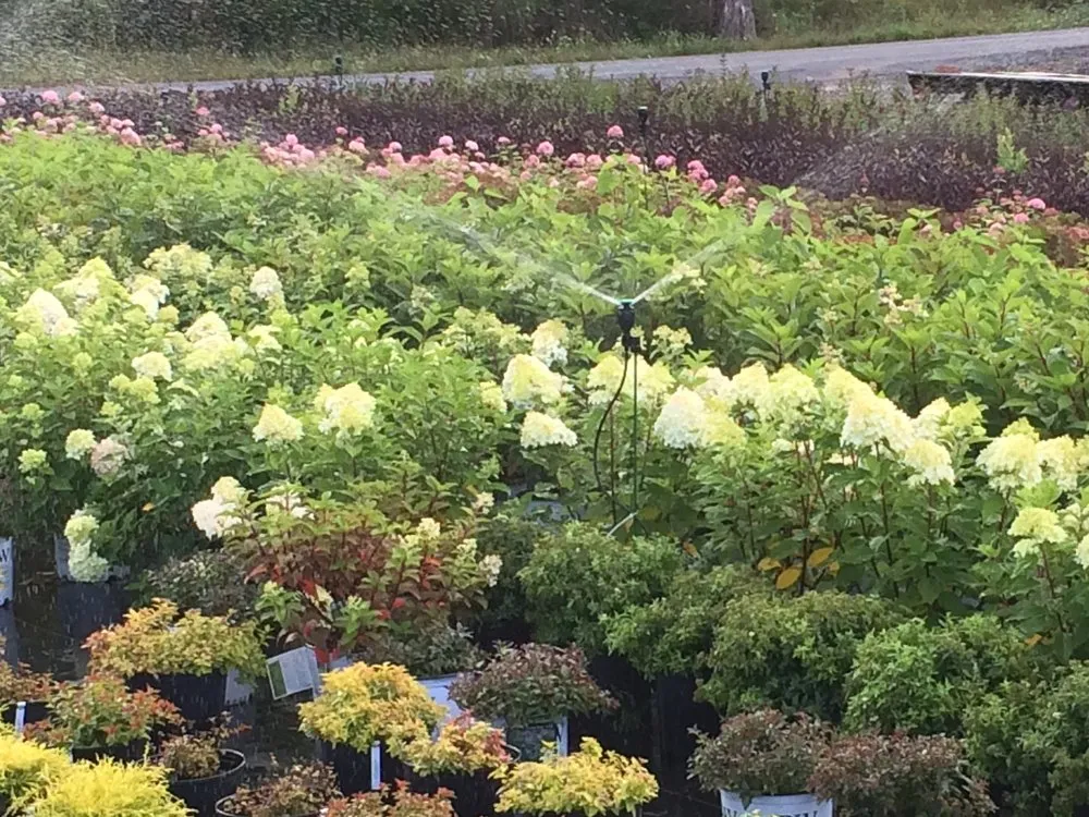 Custom yard maintenance in Orwigsburg, PA by Silver Maple Nursery