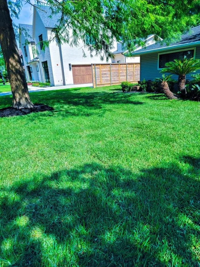 Reliable yard maintenance experts serving Dayton, TX - Silver Mines Landscape and Construction