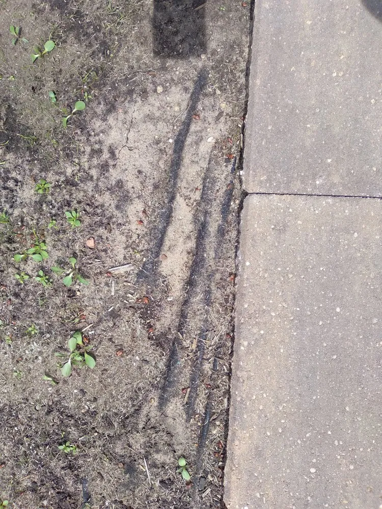 Trusted garden landscaping experts serving Waupaca, WI - Silver Mist Garden Center