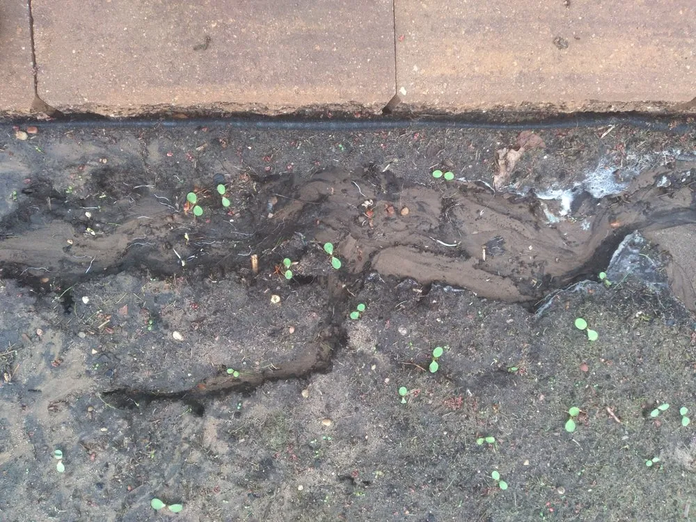 Custom yard cleanup service experts serving Waupaca, WI - Silver Mist Garden Center