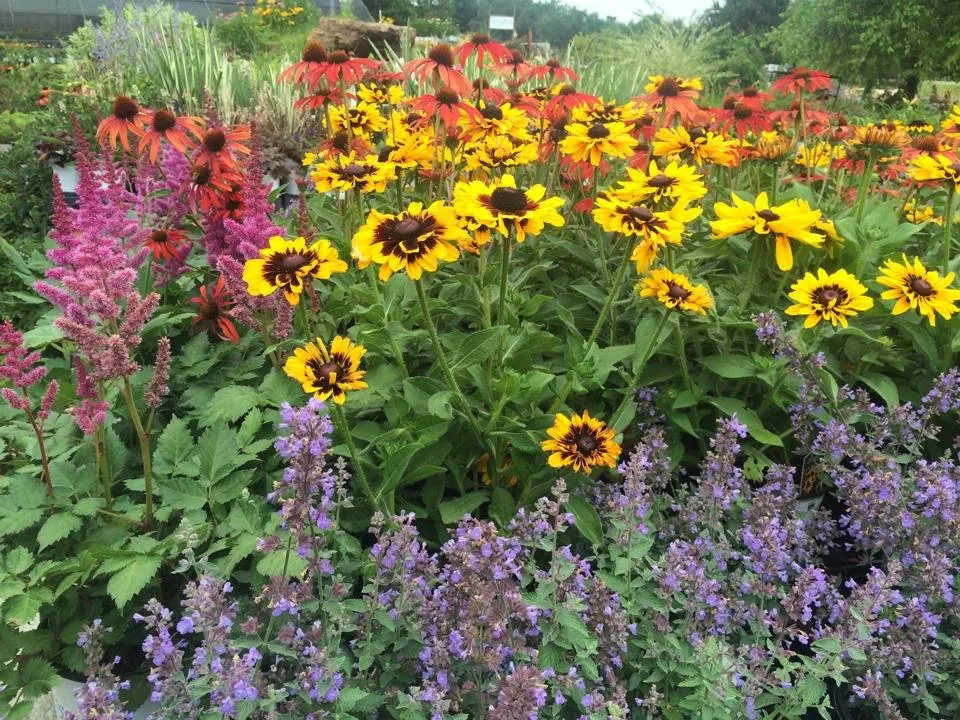 Professional landscaping services in Waupaca, WI - Silver Mist Garden Center