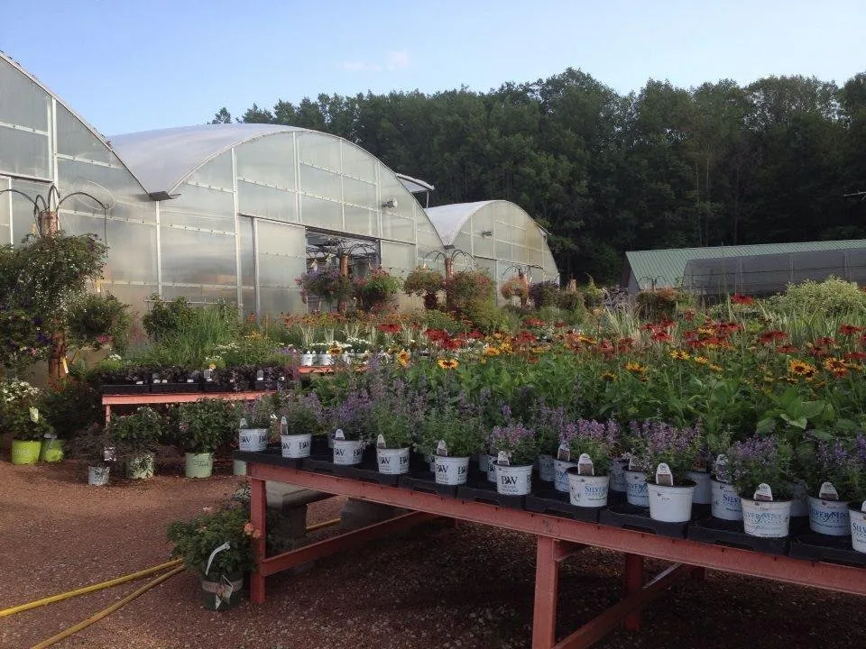 Top-rated yard cleanup service for beautiful yards in Waupaca, WI by Silver Mist Garden Center