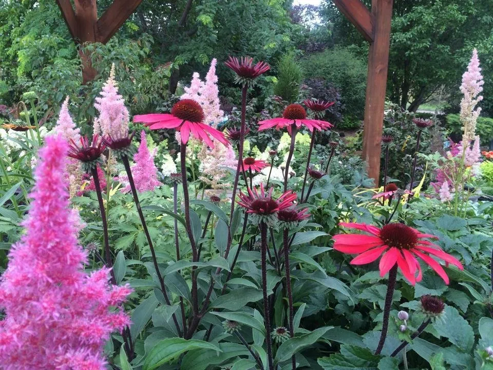 Affordable residential landscaping for residential properties across Waupaca, WI - Silver Mist Garden Center