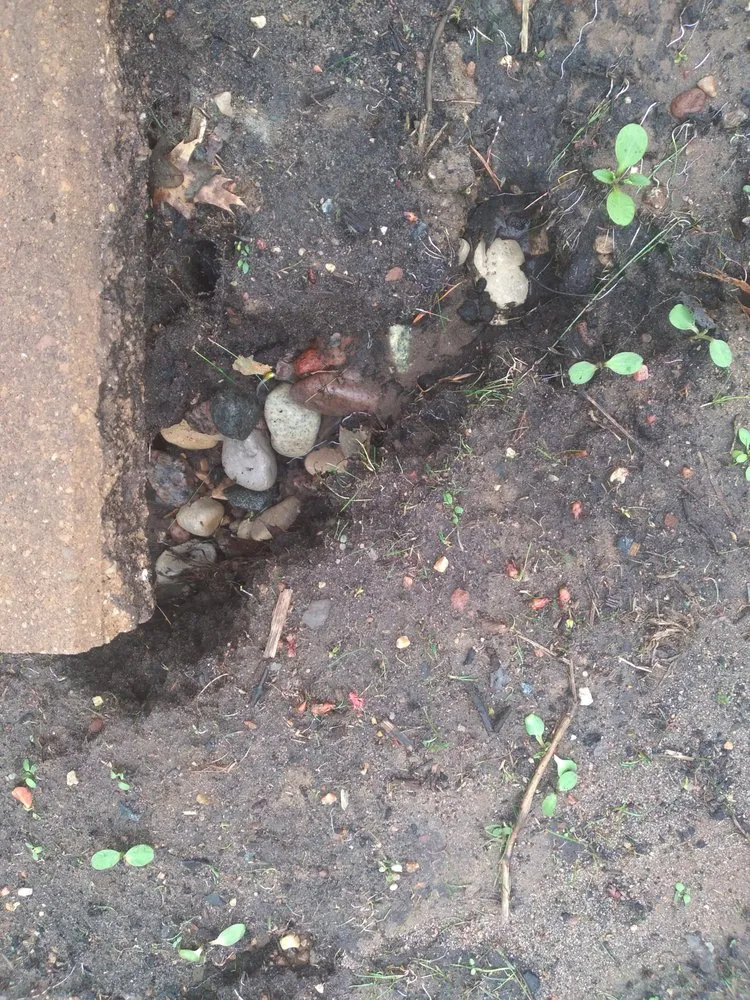 Expert garden landscaping for beautiful yards across Waupaca, WI - Silver Mist Garden Center