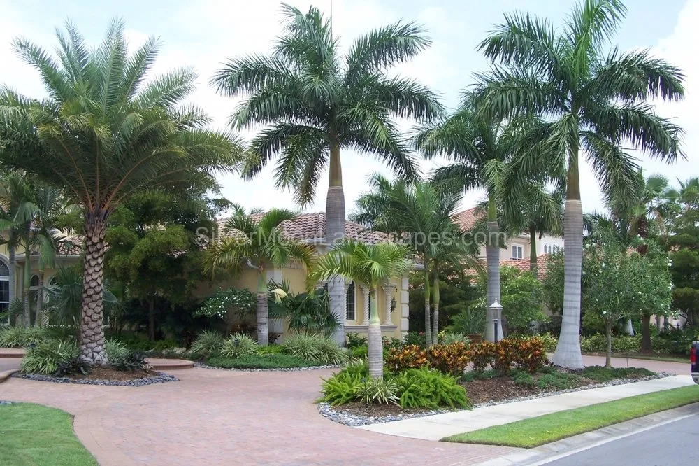 Expert lawn mowing service experts serving Sarasota, FL - Silver Moon Landscapes
