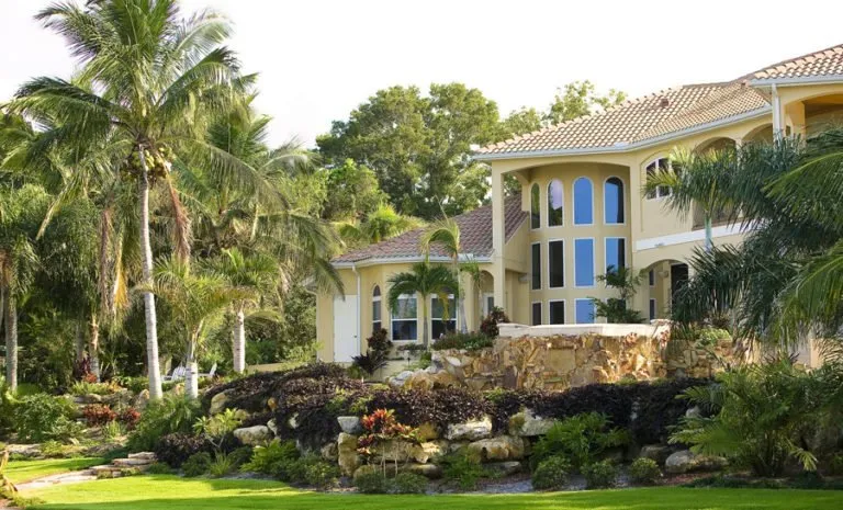 Reliable yard cleanup service in Sarasota, FL by Silver Moon Landscapes