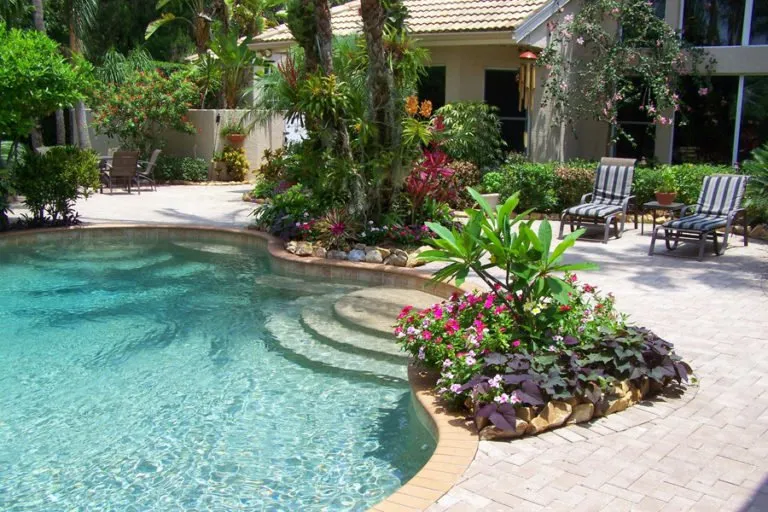 Trusted yard cleanup service near you in Sarasota, FL by Silver Moon Landscapes