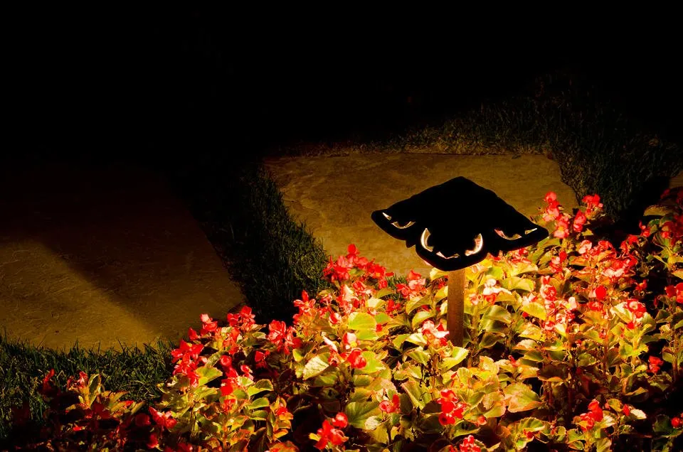 Expert lawn care service for beautiful yards across Allen, TX - Silver Moon Lighting