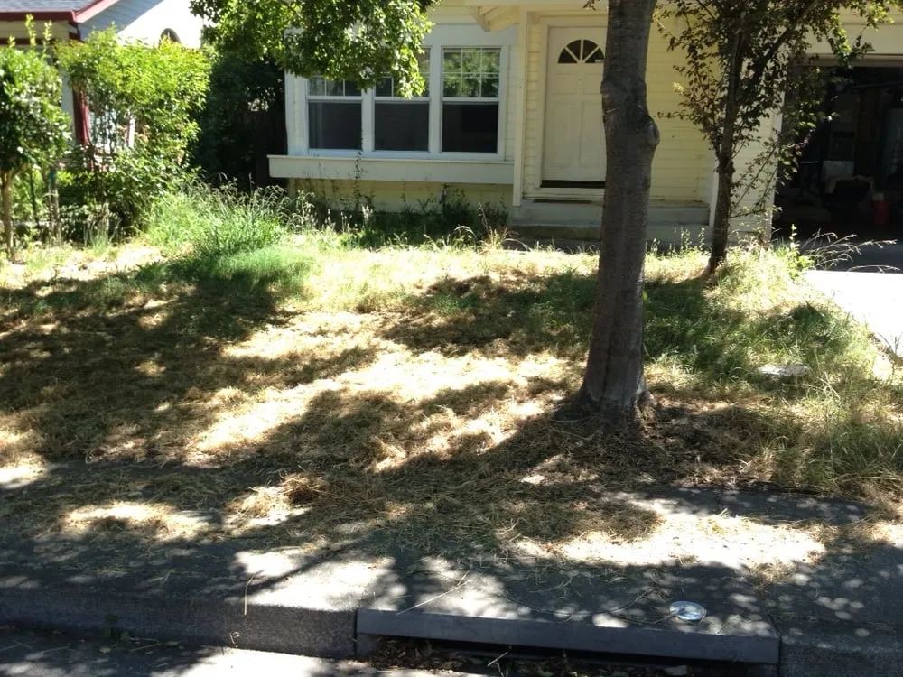 Affordable landscape design in Cotati, CA - Silver Oak Landscape Solutions