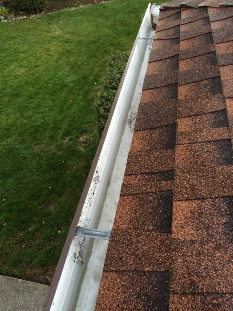 Reliable outdoor landscaping in Cotati, CA by Silver Oak Landscape Solutions