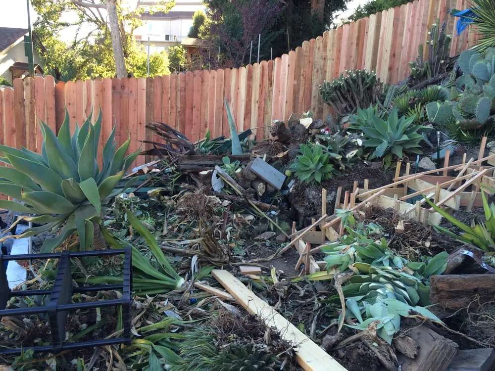 Top-rated yard maintenance in Cotati, CA by Silver Oak Landscape Solutions