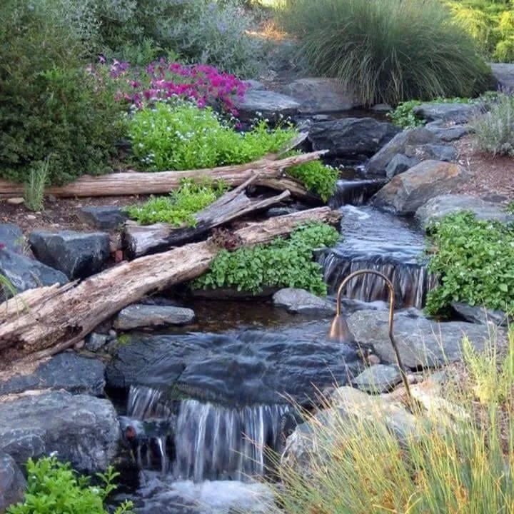 Local residential landscaping for beautiful yards in Aiken, SC by Silver Palm Landscaping