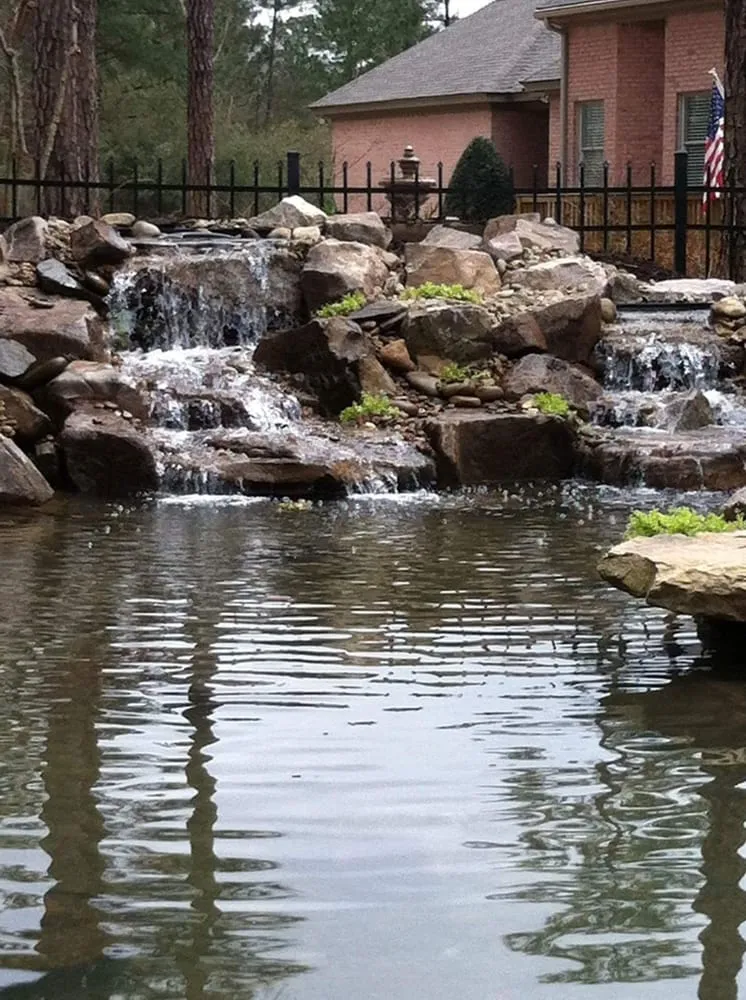 Affordable yard maintenance experts serving Aiken, SC - Silver Palm Landscaping