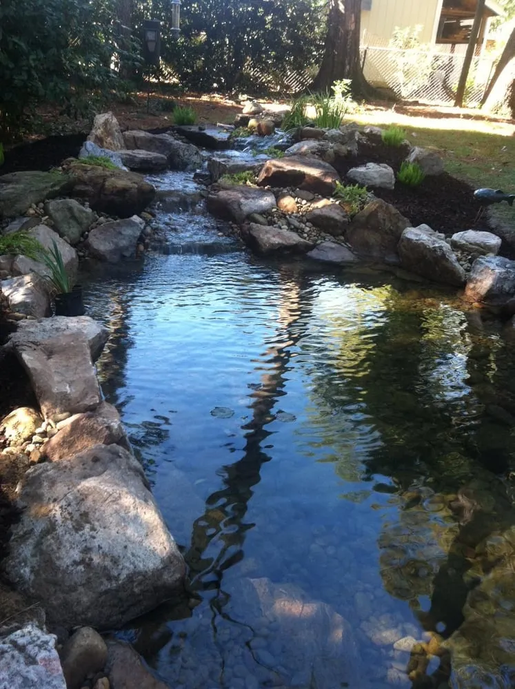 Expert lawn care service for beautiful yards in Aiken, SC by Silver Palm Landscaping