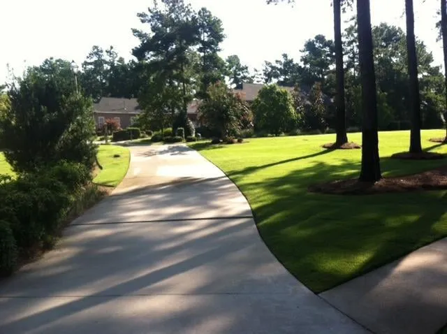 Local yard cleanup service experts serving Aiken, SC - Silver Palm Landscaping