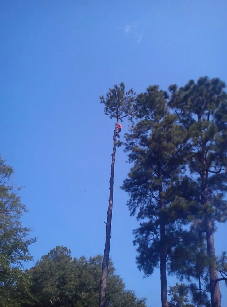 Local garden landscaping experts serving Aiken, SC - Silver Palm Landscaping