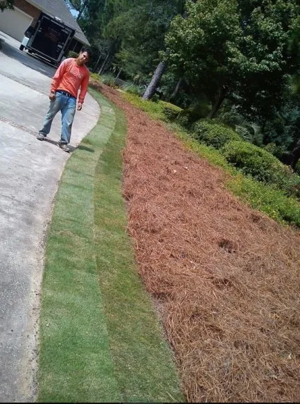 Expert landscape design with custom design in Warrenville, SC by Silver Palm Landscaping