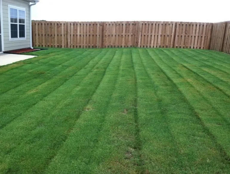 Affordable lawn mowing service for year-round maintenance across Warrenville, SC - Silver Palm Landscaping
