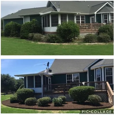Silver Palm Landscaping