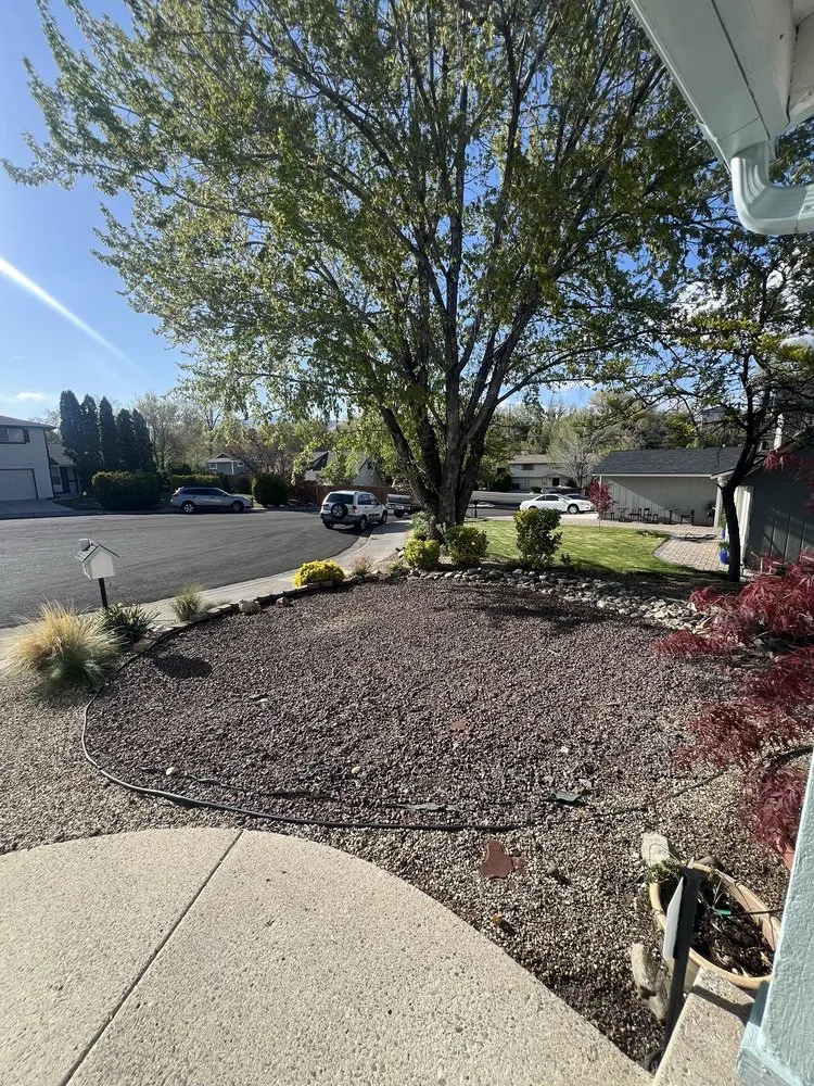 Custom landscape installation for residential properties across Sparks, NV - Silver Peak Landscaping