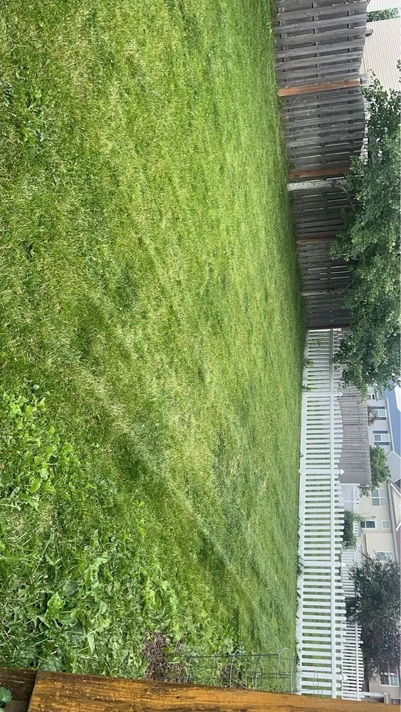 Expert outdoor landscaping experts serving Omaha, NE - Silver Rock Landscaping