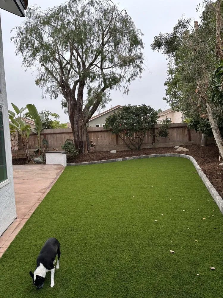 Affordable outdoor landscaping for beautiful yards in Vista, CA by Silver Scapes