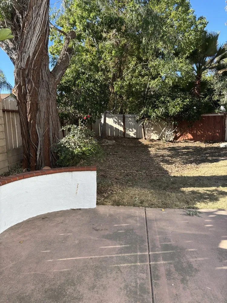 Trusted landscaping services for outdoor upgrades across Vista, CA - Silver Scapes