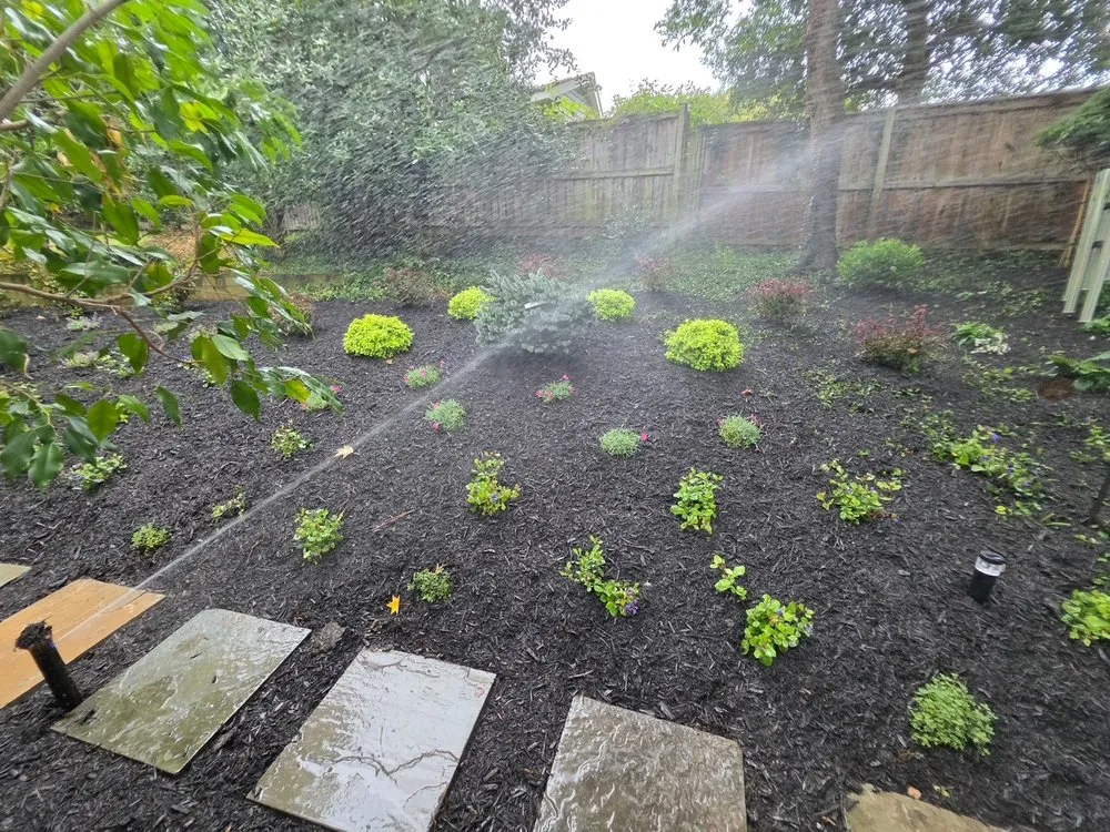 Custom landscape installation in Silver Spring, MD by Silver Spring Landscaping