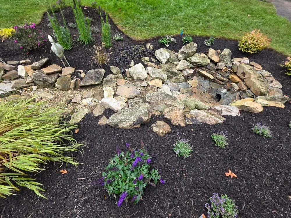 Expert yard cleanup service for residential properties in Silver Spring, MD by Silver Spring Landscaping