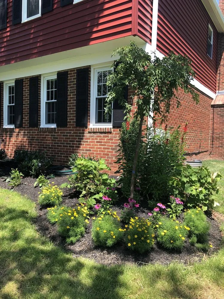 Top-rated garden landscaping for year-round maintenance across Silver Spring, MD - Silver Spring Landscaping