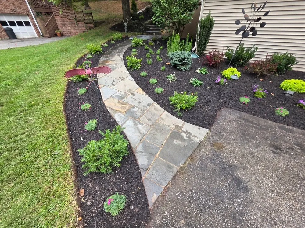 Expert yard maintenance in Silver Spring, MD - Silver Spring Landscaping