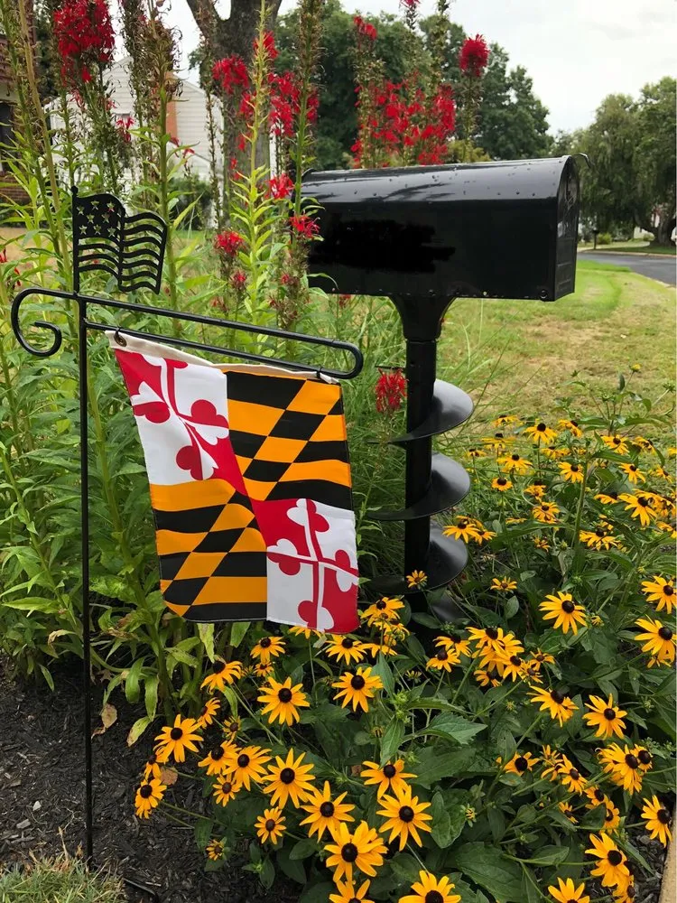 Local residential landscaping in Silver Spring, MD by Silver Spring Landscaping