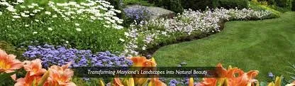 Professional yard maintenance experts serving Silver Spring, MD - Silver Spring Landscaping