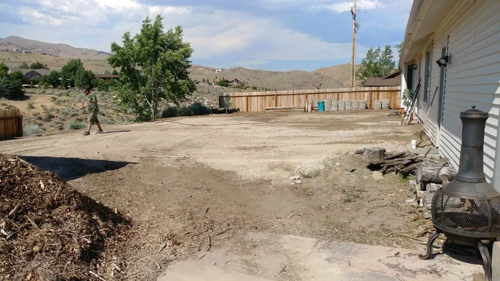 Professional yard cleanup service in Reno, NV - Silver State Dirtworks