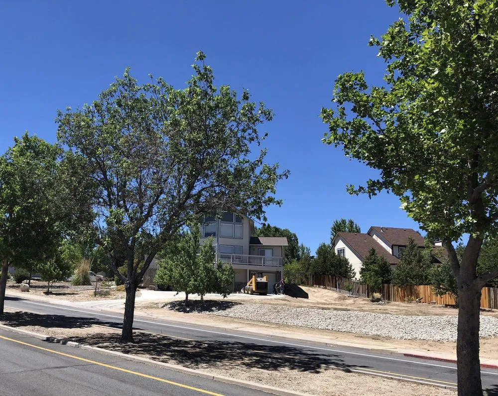 Affordable landscape installation in Reno, NV by Silver State Dirtworks