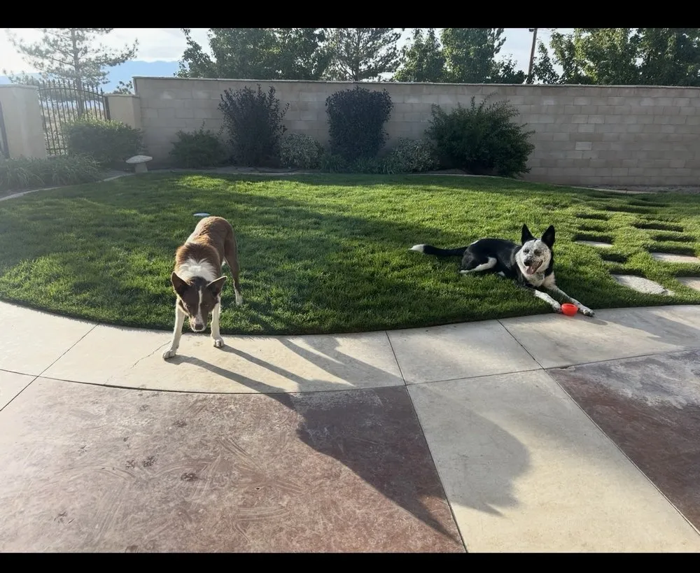 Affordable landscape design in Reno, NV - Silver State Landscaping