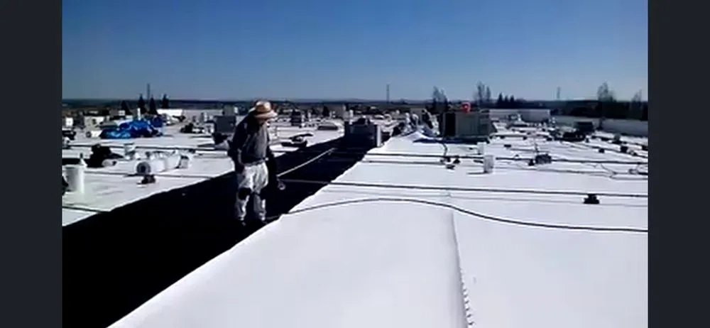 Top-rated yard maintenance near you in Elk Grove, CA by Silver State Renovations