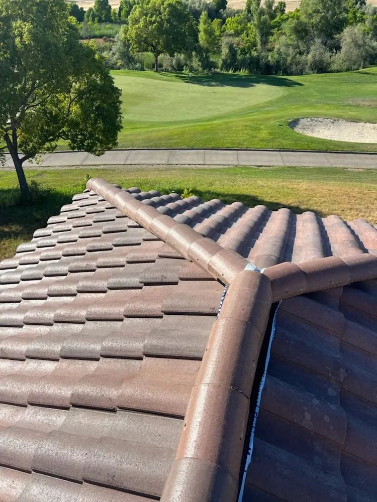 Expert landscaping services with custom design in Elk Grove, CA by Silver State Renovations