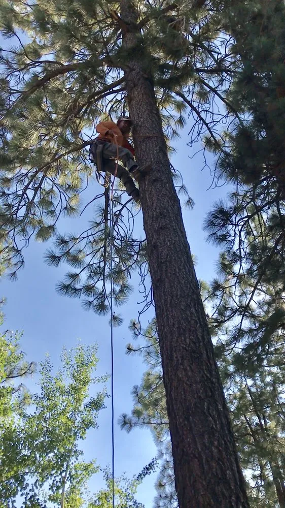 Affordable yard maintenance near you across Sparks, NV - Silver State Tree Service and Lawn Care